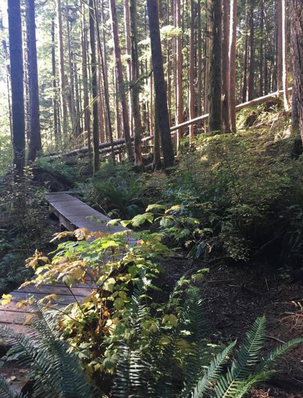 Villa The Great Escape - Port Renfrew & Bunkhouse Exterior foto